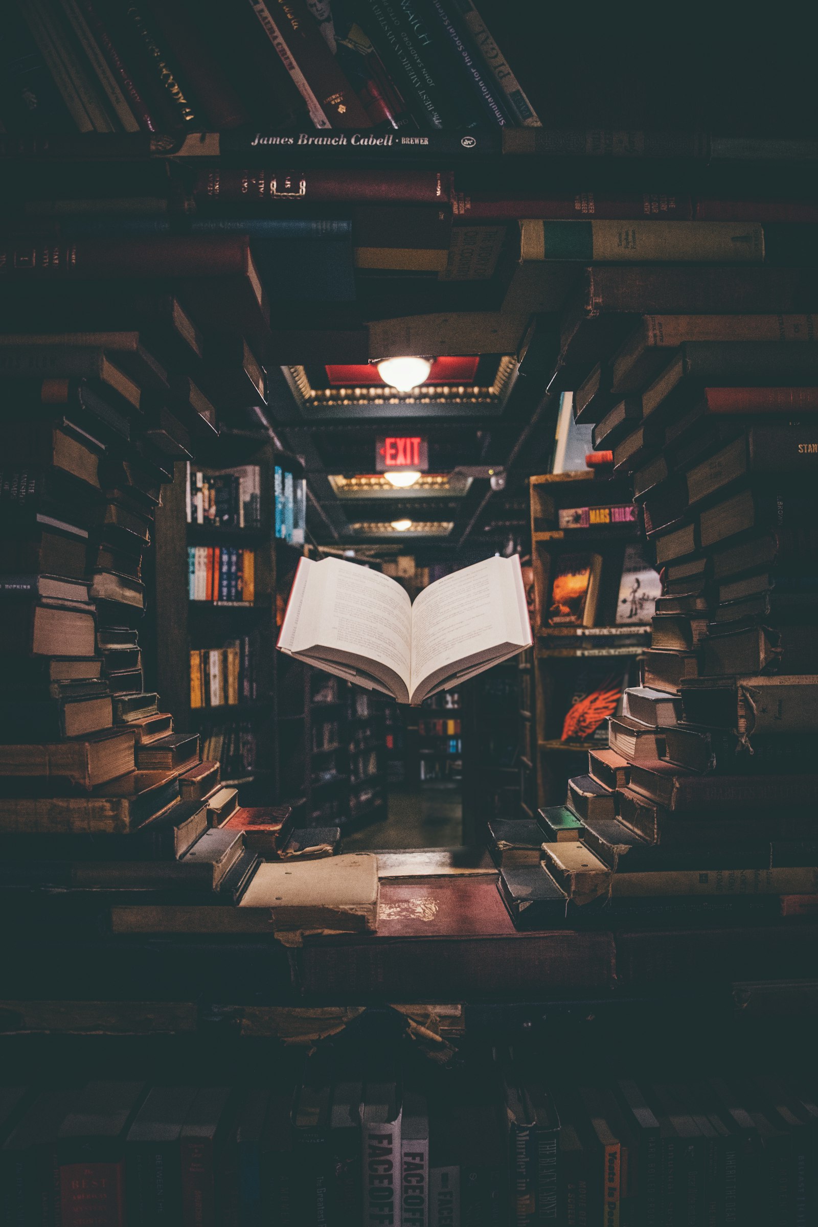 著書イメージ